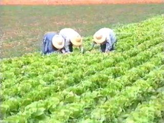 TRABAJO (4)
